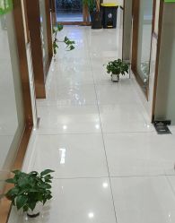 -苗医生专业祛痘·皮肤管理