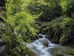 -神农架景区