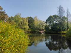 -上海滨江森林公园