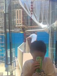 -PIPIKINGDOM皮皮王国欢乐号(欢乐海岸购物中心店)