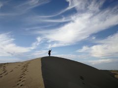 -金塔沙漠胡杨林景区