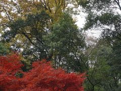 -岳麓山风景名胜区
