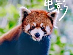 -普洱太阳河森林公园