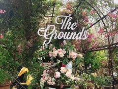 -The Grounds of Alexandria
