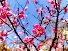 -鹫峰国家森林公园