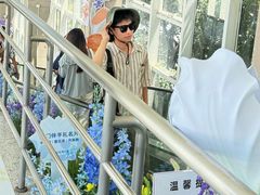-苏小糖(鼓浪屿三丘田花园店)