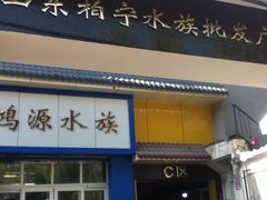 -山东柏宁水族批发广场