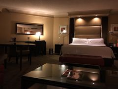 -拉斯维加斯永利酒店