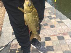 -酷鱼垂钓CLUB(朝阳区博大路店 )