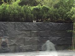 -外滩悦榕庄·海怡西餐厅