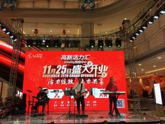 -高新·活力城Village