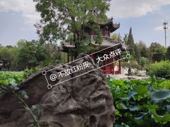 -莲池书院博物馆