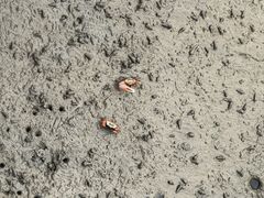 -北海金海湾红树林生态旅游区