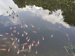 -聚龙山公园