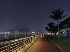 -野狸岛