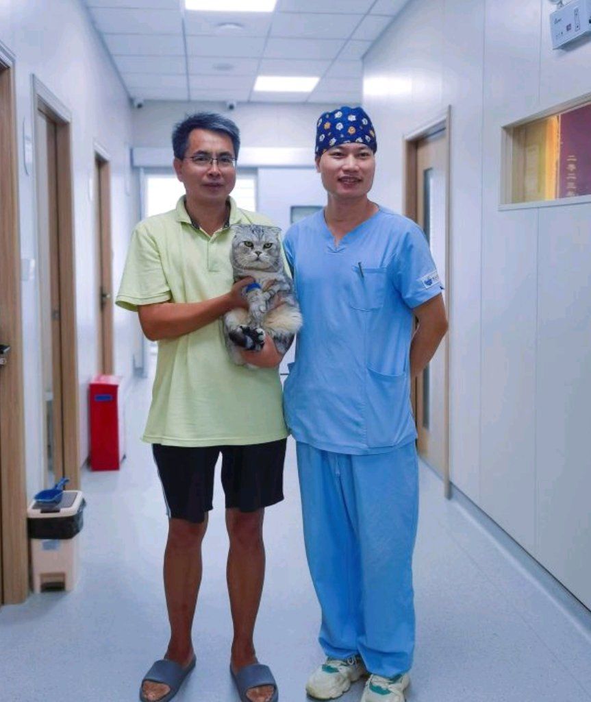 北京大学第一医院住院办理陪诊挂号疫苗接种按时协助，全程不耽误的简单介绍