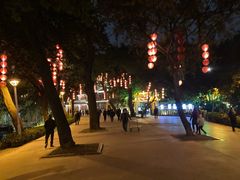 -荔湾湖公园