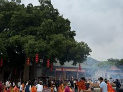 -悦城龙母祖庙