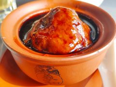 张氏狮子头-羲和雅苑•北京烤鸭(平安国际金融中心店)