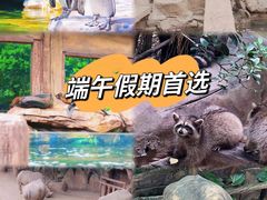 -长鹿旅游休博园