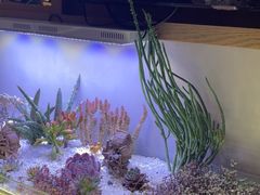 -街角等你.大连海鲜烧烤.经典铁板海鲜串(西安路店)