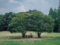 -杭州植物园