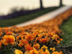 -南通洲际绿博园