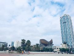 -小巴塞罗那海滩