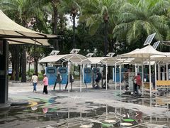 -深圳龙潭公园