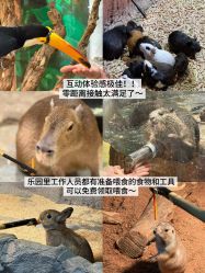 -Zoolung Zoolung动物主题公园(海信广场店)