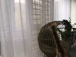 -小阿福儿童摄影(光谷时代广场店)
