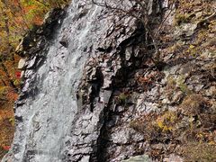 -龙道沟景区