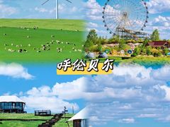 -呼伦贝尔大草原