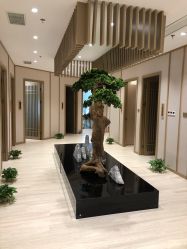 -HQ半永久纹绣纹眉