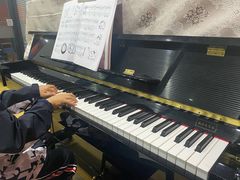 -七弦之上钢琴培训学校