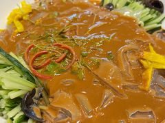 东北大拉皮-鸽子窝(青塔店)