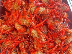 -小球滚滚湘菜馆·烤鱼·口味虾(太平街店)