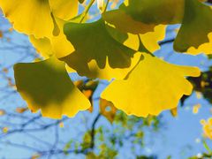 -鹫峰国家森林公园