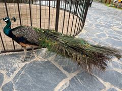 -珠海海泉湾神秘岛亲子乐园