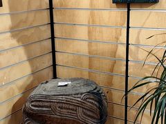 -怀托摩萤火虫洞