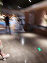 -造物庄园 萌宠纪(苏州湾歌林公园店)