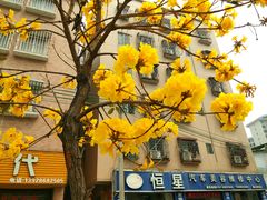 -文华公园(禅城区)