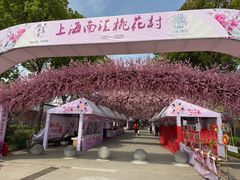 -南汇桃花村