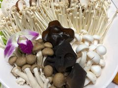 -名都小荷塘养生火锅概念店(概念店嫩江店)