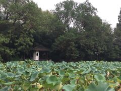 -包公祠