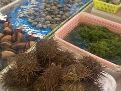 -南沙十九涌渔人码头-南门