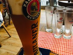 自酿鲜啤-Paulaner·德国帕拉娜自酿啤酒餐厅(海上世界店)