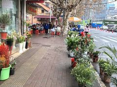 -汪记鲜鱼糊汤粉(沈阳路总店)