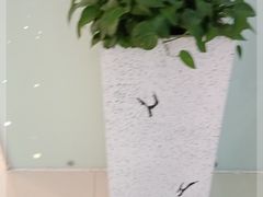 -三上料理(西湖文化广场店)