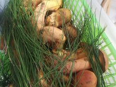 -鲜菌江湖正宗野生菌火锅